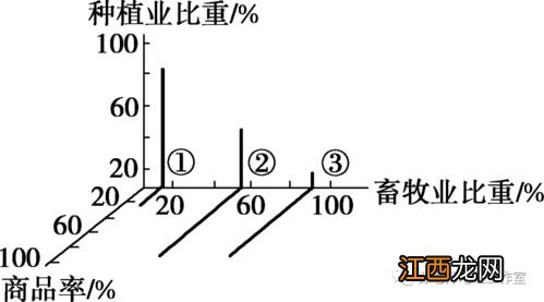 育龙62水稻品种特征特性，附简介