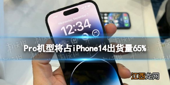 Pro机型将占iPhone14出货量65% 分析师预测ProMax最受欢迎