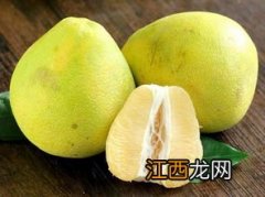 文旦是柚子吗，附简介