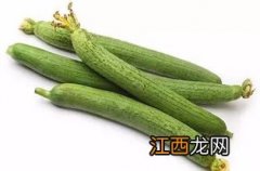 丝瓜苦的能吃吗？丝瓜为什么会发苦？