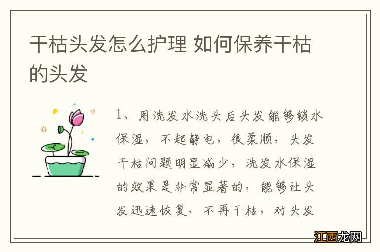 干枯头发怎么护理 如何保养干枯的头发