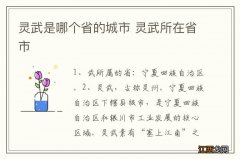 灵武是哪个省的城市 灵武所在省市