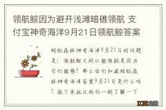 领航鲸因为避开浅滩暗礁领航 支付宝神奇海洋9月21日领航鲸答案