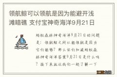 领航鲸可以领航是因为能避开浅滩暗礁 支付宝神奇海洋9月21日领航鲸最新答案