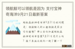 领航鲸可以领航是因为 支付宝神奇海洋9月21日最新答案