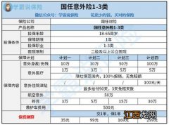 国任意外险1-3类投保规则是什么？