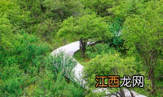 绵阳必游景点 绵阳旅游取得地方