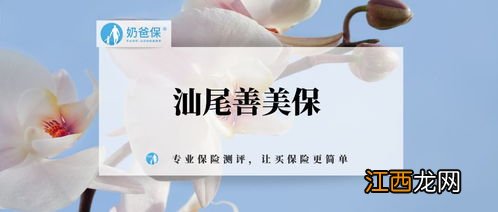 汕尾善美保承保公司哪家？