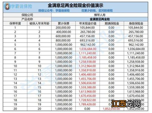 横琴金满意足两全险投保规则