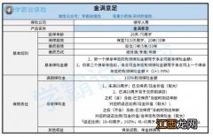 横琴金满意足两全险投保规则