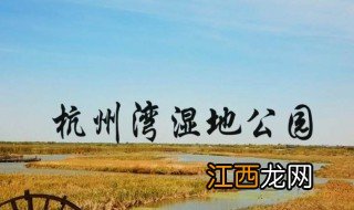 杭州湾湿地公园景点介绍 杭州湾湿地公园景点简介