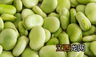 蚕豆最简单儿童种植方法，蚕豆最简单儿童种植方法图