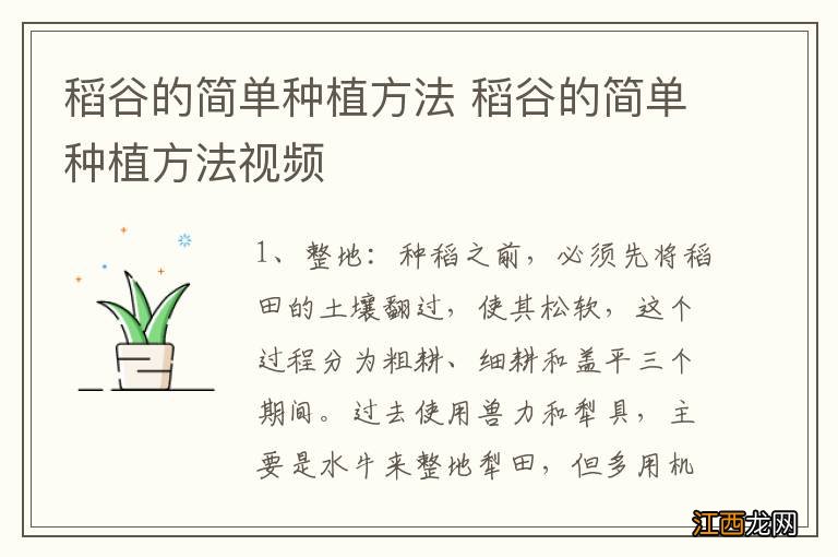 稻谷的简单种植方法 稻谷的简单种植方法视频