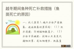 鱼苗死亡的原因 越冬期间鱼种死亡补救措施