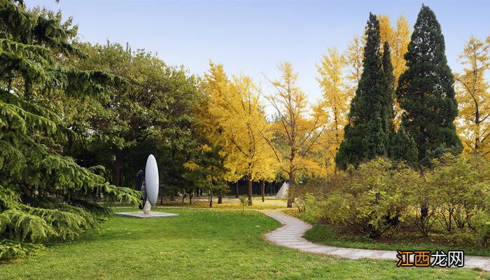 蚂蚁森林合种规则 蚂蚁森林合种树的六个阶段
