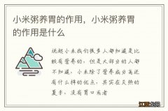 小米粥养胃的作用，小米粥养胃的作用是什么