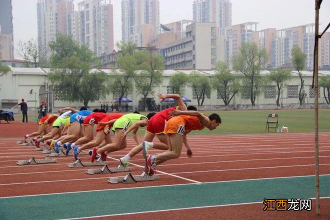 这份冗长的官方文件，却是填志愿必看！！