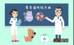 相互宝可以报销狂犬病疫苗吗？