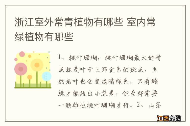 浙江室外常青植物有哪些 室内常绿植物有哪些