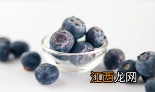 蓝莓适合什么季节播种，蓝莓适合在什么季节种