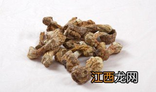 干松茸怎么吃最有营养 干松茸这样做更有营养