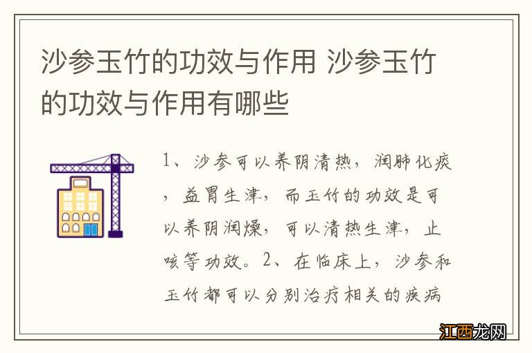 沙参玉竹的功效与作用 沙参玉竹的功效与作用有哪些