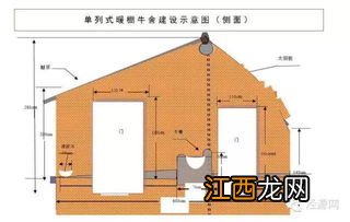 养牛房怎么建