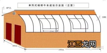 养牛房怎么建