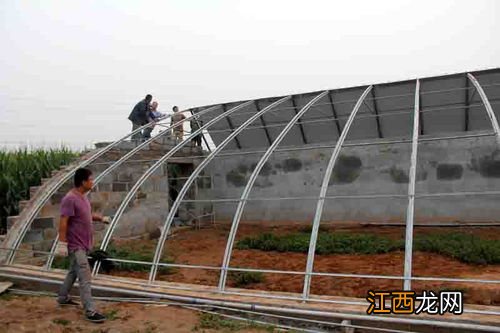 养鸡脱温室怎么建设