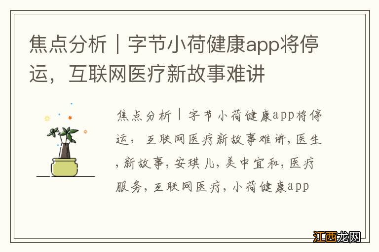 焦点分析｜字节小荷健康app将停运，互联网医疗新故事难讲