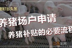 养猪补贴需要什么手续