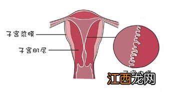 子宫内膜增厚影响买重疾险吗?
