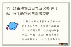 永川野生动物园自驾游攻略 关于永川野生动物园自驾游攻略