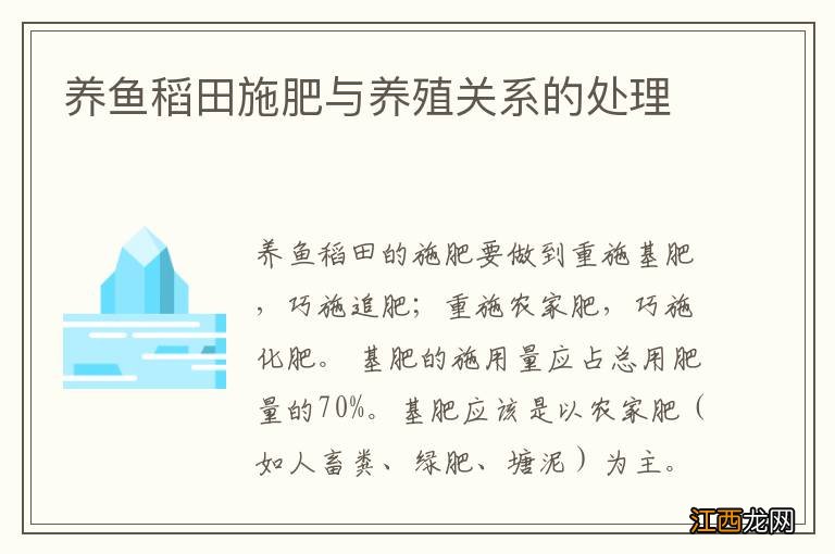 养鱼稻田施肥与养殖关系的处理