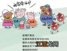 非洲猪瘟怎么控制