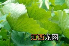 不洗脸就化妆可以吗？不洗脸化妆会怎样？