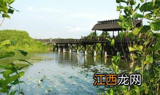 深圳有哪些地方 深圳好玩的地方