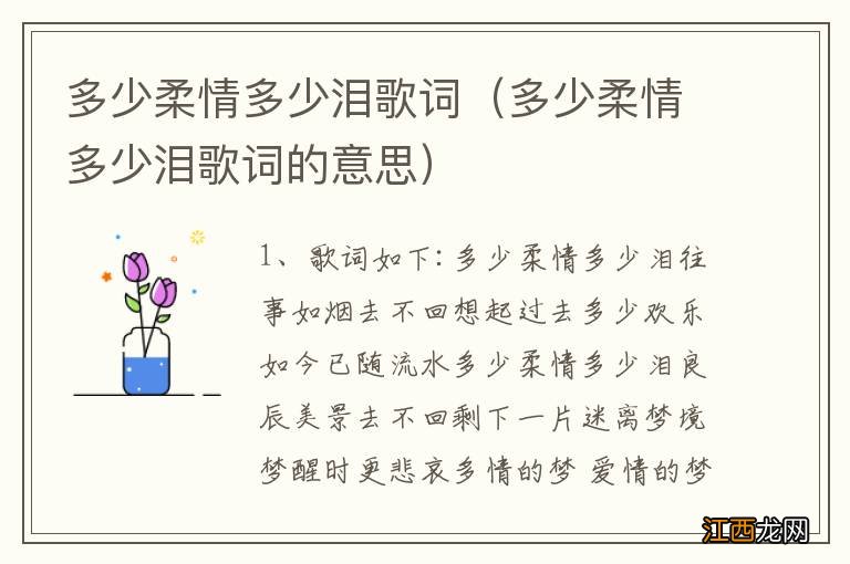 多少柔情多少泪歌词的意思 多少柔情多少泪歌词