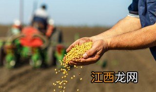 什么季节适合播种凤仙花 什么季节适合播种