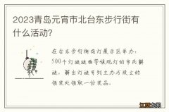 2023青岛元宵市北台东步行街有什么活动？