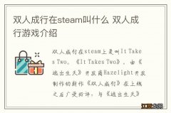 双人成行在steam叫什么 双人成行游戏介绍