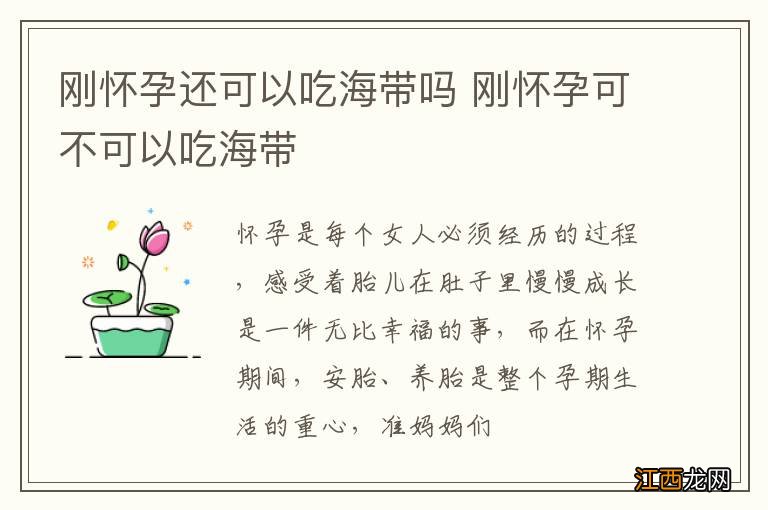 刚怀孕还可以吃海带吗 刚怀孕可不可以吃海带