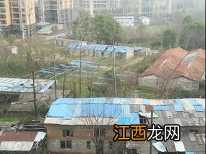 养殖棚属于违建不