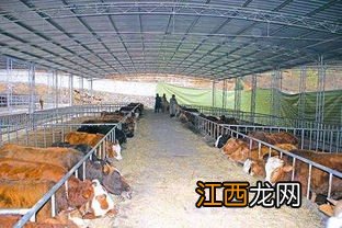 养殖棚属于违建不