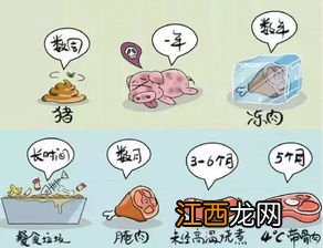 非洲猪瘟可以在地下存活多久