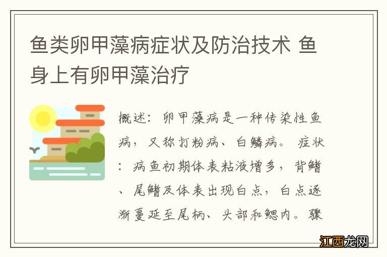 鱼类卵甲藻病症状及防治技术 鱼身上有卵甲藻治疗