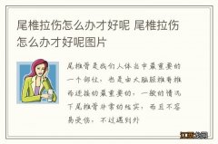 尾椎拉伤怎么办才好呢 尾椎拉伤怎么办才好呢图片