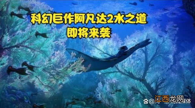 《阿凡达2》票价曝光，290元一张，导演：票房达到14亿美元才续拍