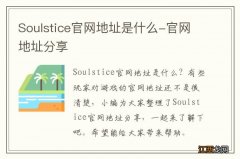 Soulstice官网地址是什么-官网地址分享