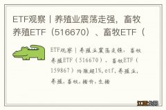 516670 ETF观察丨养殖业震荡走强，畜牧养殖ETF、畜牧ETF（159867）均涨超1%